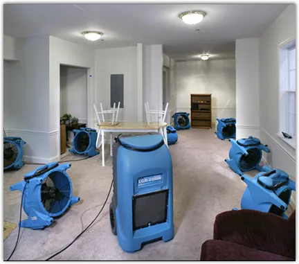 Mold Remediation & Removal in Scarsdale, NY
