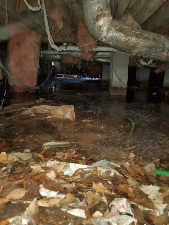 Crawl space flood assessment for Commercial Water Damage Restoration in Scarsdale