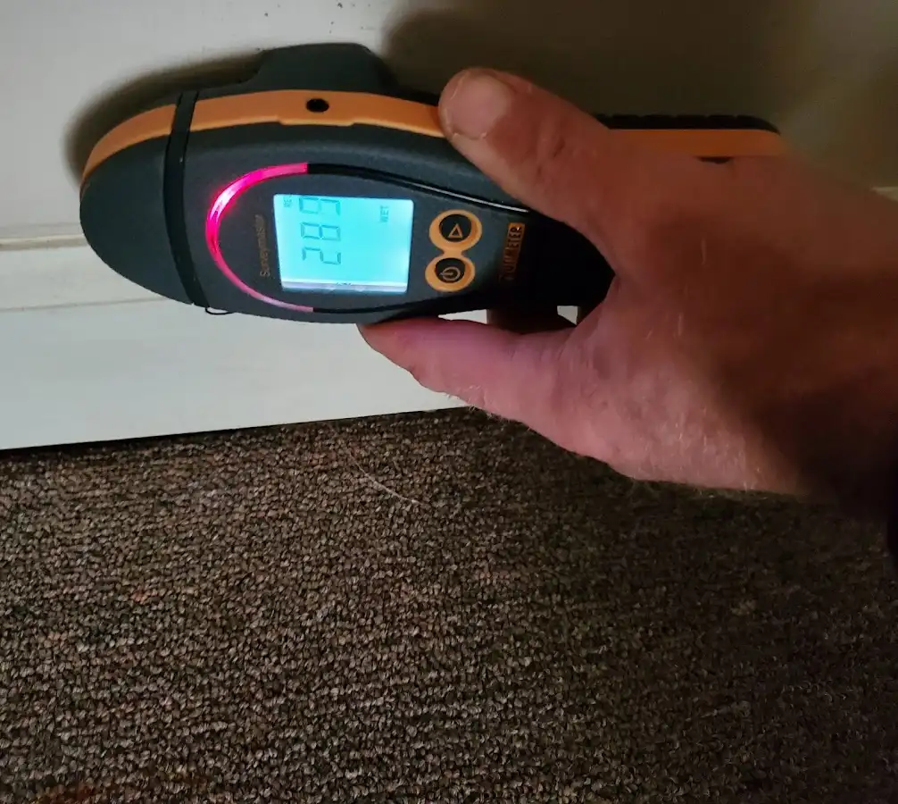 Moisture detection at baseboard during Sewage Cleanup & Sanitation in Scarsdale